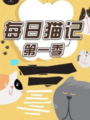 每日猫记第1季