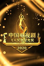 中国电视剧飞天奖暨星光奖2020