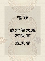 秦腔唱段-适才间大嫂对我言-窦凤琴