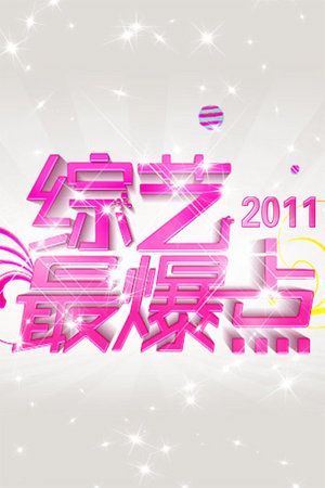 综艺最爆点2011