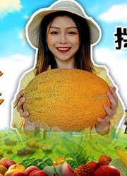 全站最爽吃瓜群众！飞3280公里探秘神秘的瓜州之地