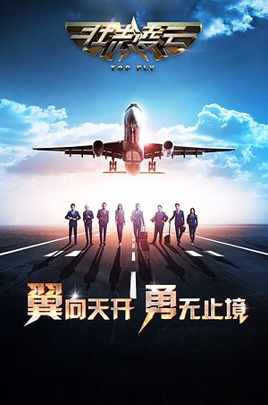 壮志凌云2015