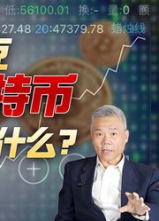 司马南：马斯克捧比特币意味着什么？