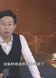 《经典传奇》，精彩片段集锦