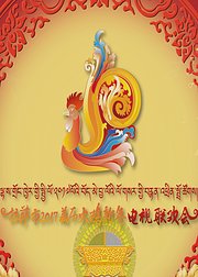 拉萨市2017藏历火鸡新年电视联欢会