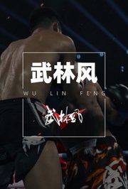 武林风2012