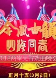 2018厦门卫视元宵