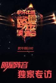 2015跨年明星机场专访