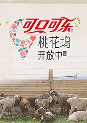 桃花坞开放中第4季