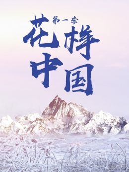 花样中国第1季