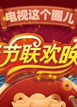 电视这个圈儿小春晚