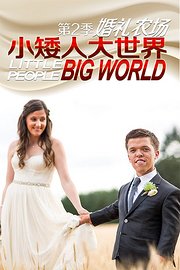 小矮人大世界：婚礼农场第2季