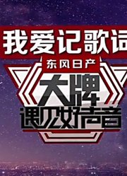 我爱记歌词：大牌明星和中国好声音学员，强强联手，演绎经典歌曲