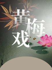 黄梅戏-我廉家诗书门第积德行善