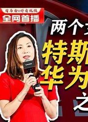 司马南：两个女子一台戏，特斯拉陶琳与华为陈黎芳之比较