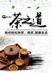 茶之道：教你轻松辨茶、喝茶，健康生活