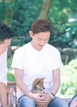 向往的生活精彩片段