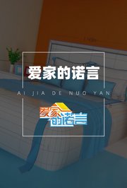 爱家的诺言2017