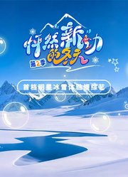 怦然“新”动的冬天第2季