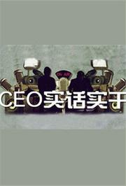 CEO实话实干2010