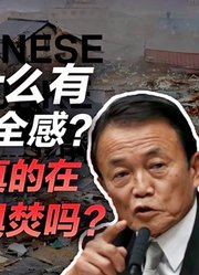 司马南：日本为何有极度不安全感？麻生太郎真的追求玉石俱焚吗？