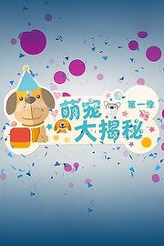 萌宠大揭秘