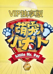 萌宠小大人VIP专享萌集