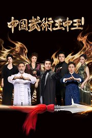 中国武术王中王第2季