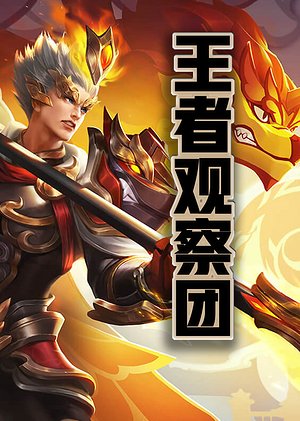 王者观察团