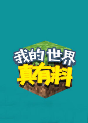 我的世界真有料