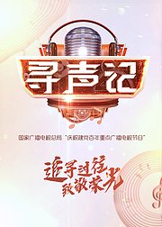 寻声记