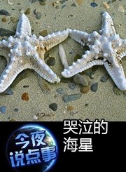 哭泣的海星 0513