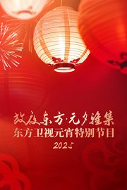 放夜东方·元夕雅集2025东方卫视元宵特别节目