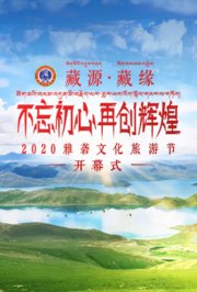 2020雅砻文化旅游节开幕式