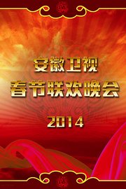 安徽卫视春节联欢晚会2014