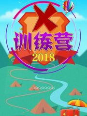 X训练营2018