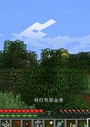 我的世界神奇宝贝数码宝贝双人