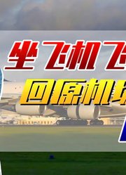 伪出国航班火了！买机票坐飞机天上转一圈，疫情后大家都憋疯了？