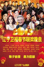 辽宁卫视春节联欢晚会2013