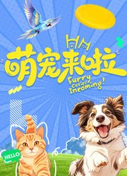 萌宠来啦
