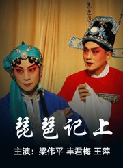琵琶记上-淮剧