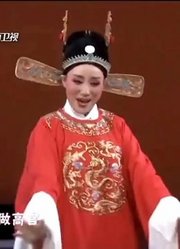 梨园春：梅花大奖获得者杨俊演唱黄梅戏《女驸马》好一个驸马爷