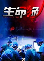 生命缘第2季