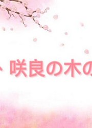 【樱绽字幕组】2020.08.12-今夜咲良树下#165
