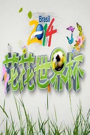 花花世界杯2014