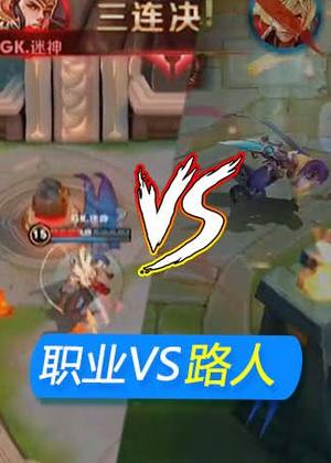 职业VS路人