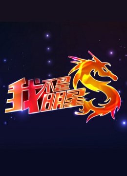 我不是明星第4季