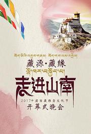 走进山南2017年中国西藏雅砻文化节开幕式晚会