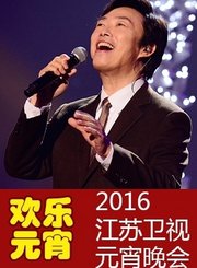 回看-2016江苏卫视元宵晚会