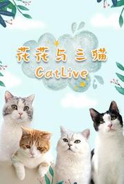 花花与三猫CatLive2020